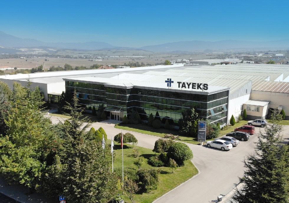 Tayeks